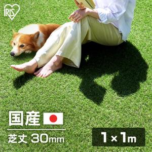人工芝 アイリスオーヤマ ロール リアル人工芝 ...の商品画像