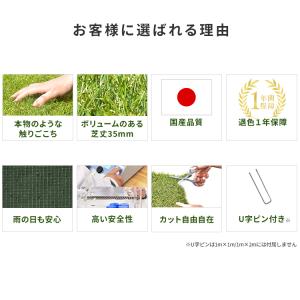 人工芝 アイリスオーヤマ ロール リアル人工芝...の詳細画像2