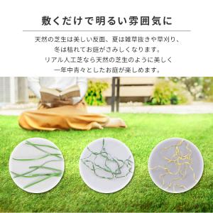人工芝 アイリスオーヤマ ロール リアル人工芝...の詳細画像4