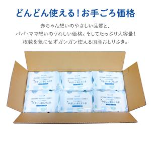 おしりふき お尻拭き 流せる 赤ちゃん 30個...の詳細画像2