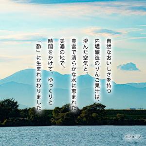リンゴ酢 りんご酢 純リンゴ酢 美濃 有機純り...の詳細画像1
