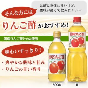 リンゴ酢 りんご酢 純リンゴ酢 内堀醸造 50...の詳細画像1