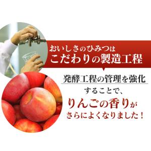 リンゴ酢 りんご酢 純リンゴ酢 内堀醸造 50...の詳細画像2