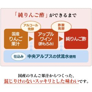リンゴ酢 りんご酢 純リンゴ酢 内堀醸造 50...の詳細画像3