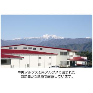 リンゴ酢 りんご酢 純リンゴ酢 内堀醸造 50...の詳細画像4