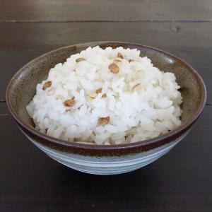 3袋 もち麦ファイバーブレンド 250g ベス...の詳細画像1