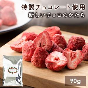 チョコレート バレンタイン 2026 含侵チョコ 90g チョコ お菓子 苺チョコ ホワイトチョコ いちご 苺 フリーズドライ スイーツ バレンタイン 送料無料