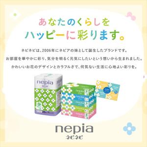 ティッシュ ボックスティッシュ 箱ティッシュ ...の詳細画像5