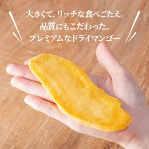 ドライフルーツ マンゴー ドライマンゴー プレ...の詳細画像1