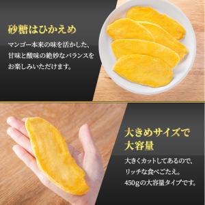 ドライフルーツ マンゴー ドライマンゴー プレ...の詳細画像3