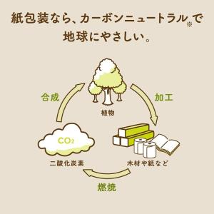 トイレットペーパー スコッティ ナチュラル 4...の詳細画像5