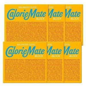 カロリーメイト バニラ 4本 6個セット ブロッ...の商品画像