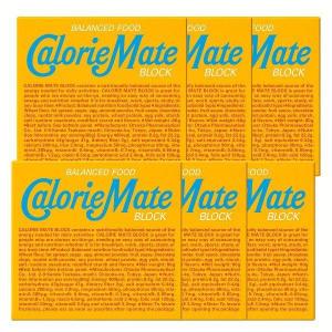 カロリーメイト バニラ 4本 6個セット ブロ...の詳細画像1