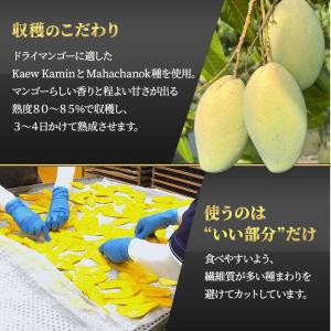 ドライマンゴー 450g 2袋 ドライフルーツ...の詳細画像5