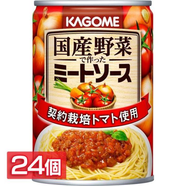 (24個)国産野菜で作ったミートソース (D)