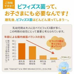 12個セット 森永 チルミル エコらくパック ...の詳細画像1