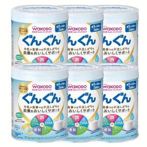 6個セット)和光堂フォローアップミルクぐんぐん300g (D) 新生活