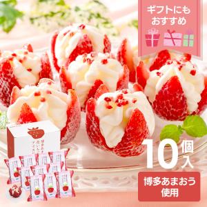 アイスクリーム アイス 博多あまおう 花いちごのアイス A-DS ギフト