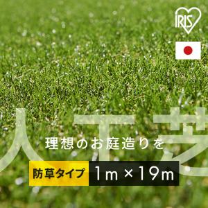 人工芝 1m×19m アイリスオーヤマ ロール 30mm 防草 U字ピン 38本付