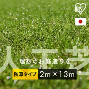 IRIS OHYAMA（アイリスオーヤマ） 人工芝 2m×10m ロール 30mm U字ピン