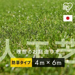 人工芝 4m×6m アイリスオーヤマ ロール 30mm 防草 U字ピン 48本付