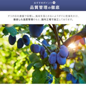 ドライフルーツ プルーン 900g (300g...の詳細画像4