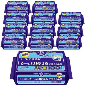 (12個セット)アクティ トイレに流せる たっぷり使えるおしりふき 100枚   アクティ (D)｜petkan