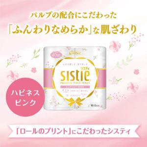 トイレットペーパー 10個セット トイレットロ...の詳細画像1