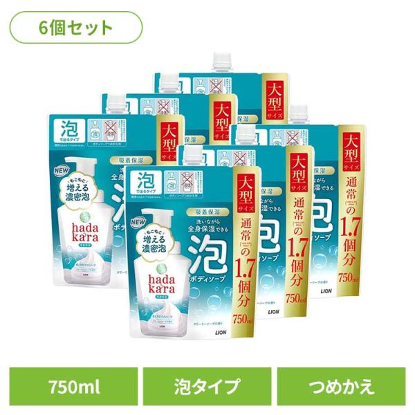 (6個セット)hadakara（ハダカラ）泡ボディソープ ソープ つめかえ用 大型  02158 L...