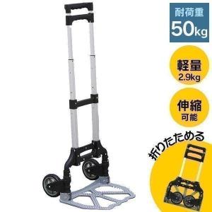 キャリーカート アウトドア キャリーワゴン 折りたたみ 軽量 コンパクト 台車 すべり止め ゴムバンド 50kg OAC-H001BK (D) 新生活｜petkan