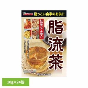 健康食品 24パック 山本漢方 冷水 煮だし 脂流茶 10g×24包 山本漢方製薬