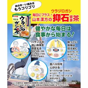 健康食品 20パック 山本漢方 健康 ノンカフ...の詳細画像1