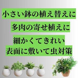 培養土 用土 室内 観葉植物 多肉植物 虫がわ...の詳細画像3