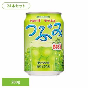 ぶどう 粒 つぶみ サンガリア 飲料 ソフトドリンク つぶ ジュース つぶみ白ぶどう280g×24本
