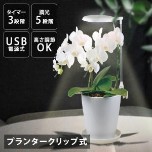 植物育成 プラント 園芸 植物 観葉植物 開花 ...の商品画像