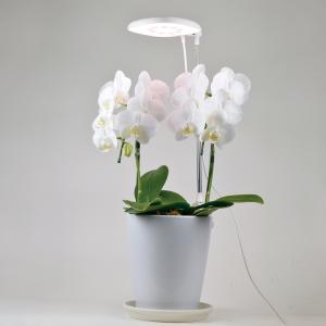 植物育成 プラント 園芸 植物 観葉植物 開花...の詳細画像3