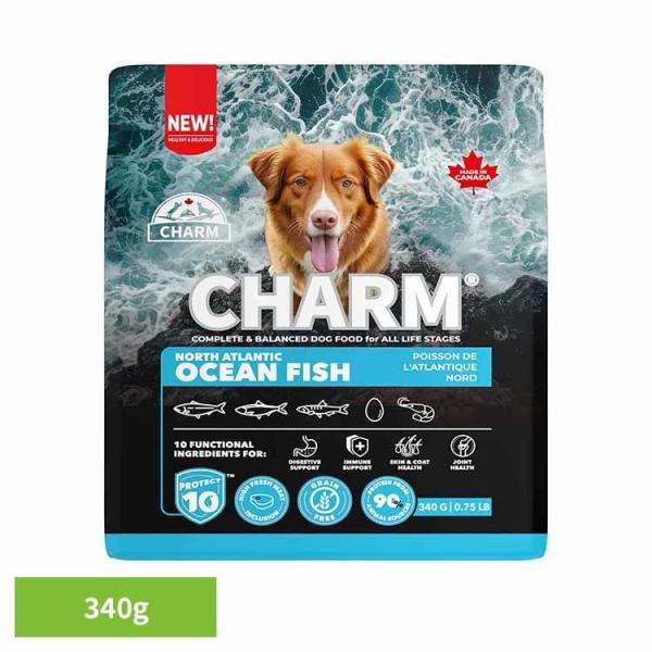 チャーム ドッグフード プレミアムフード グレインフリー 犬 ナチュラル アレルギー 小粒 ノース・...