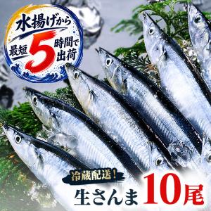 さんま 生さんま 三陸・気仙沼産 10尾 三陸 気仙沼 冷...