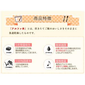 非常食 アルファ米 尾西食品 6種類 セット ...の詳細画像2