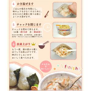 非常食 アルファ米 尾西食品 6種類 セット ...の詳細画像4