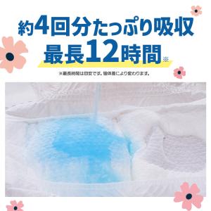 ＼最大4回分吸収で安心/ ペットオムツ 単品 ...の詳細画像4