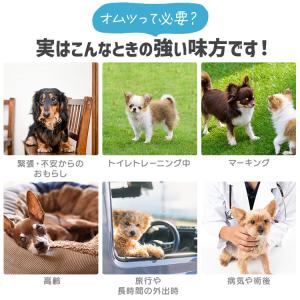 ＼長時間安心/ ペットオムツ 男の子 マナーベ...の詳細画像5