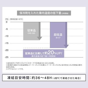 保冷剤 ハード 2個セット 最強 長時間 氷点...の詳細画像3