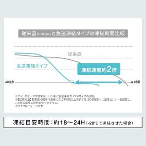 保冷剤 ハード 2個セット 最強 長時間 氷点...の詳細画像5