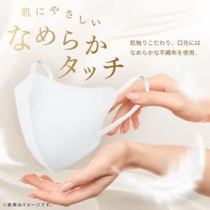＼メディアで紹介されました/ マスク 不織布 ...の詳細画像1