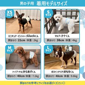 ＼3袋セット/ ペットオムツ 男の子 マナーベ...の詳細画像2