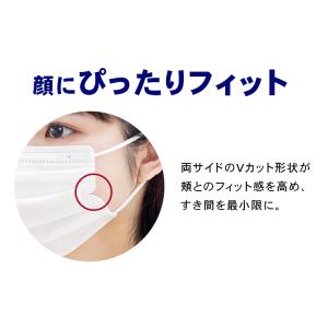 マスク 不織布 個包装 アイリスオーヤマ 14...の詳細画像4