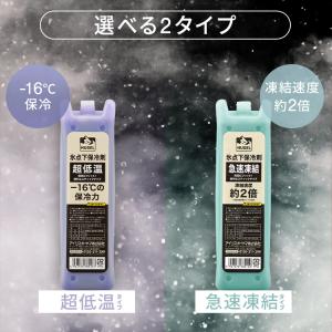 保冷剤 2個セット ハード 氷点下 スティック...の詳細画像1