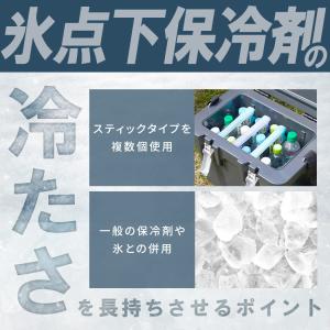 保冷剤 2個セット ハード 氷点下 スティック...の詳細画像4