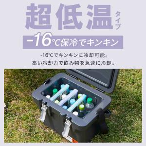 保冷剤 2個セット ハード 氷点下 スティック...の詳細画像5